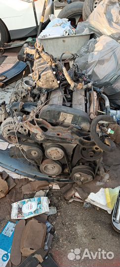 Двигатель zetec 1.6