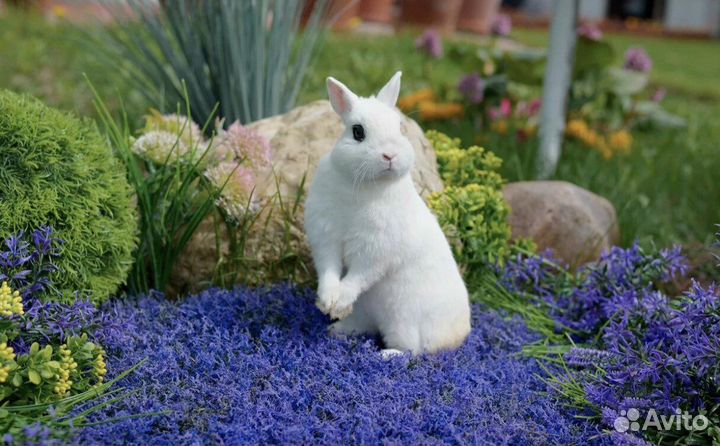 Хтот от лучших производителей