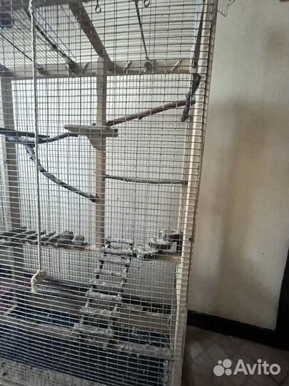 Клетка вольер для попугаев