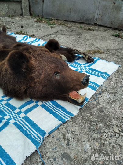 Шкура медведя (имитация)