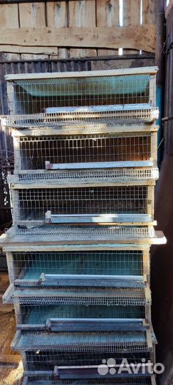Клетка для птиц