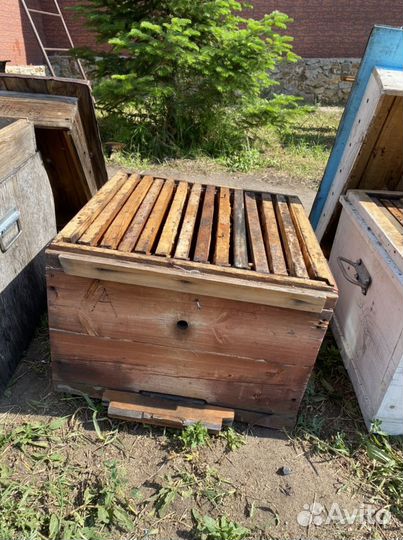 Продам ульи для пчел