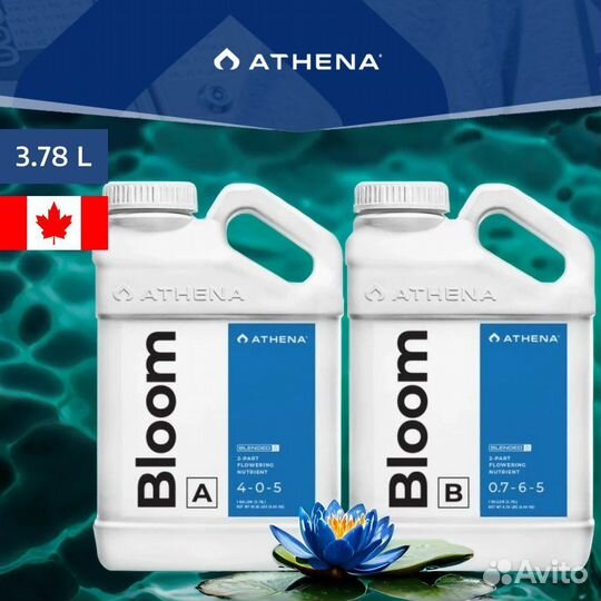 Athena Bloom A+B 3.78 л