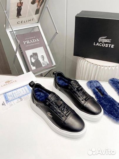 Кеды мужские зимние lacoste