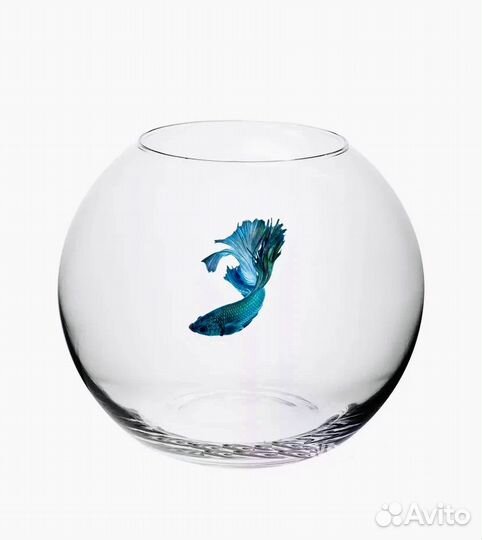 Аквариум, Ваза для флорариума