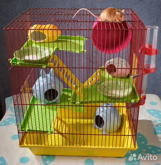 Клетка для хомяка хомяков грызунов крысят