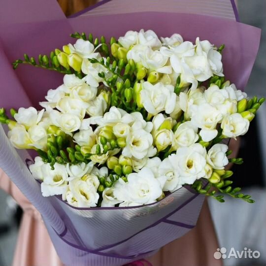 Букет из белых фрезий 95 шт