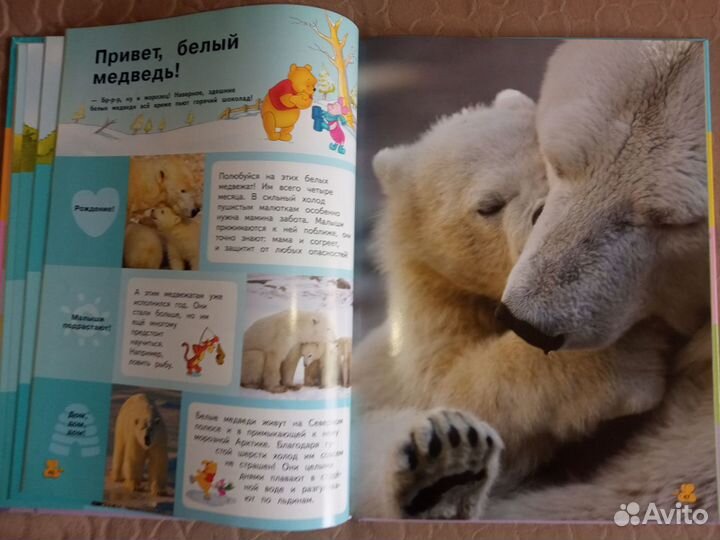 Книга Энциклопедия для детей