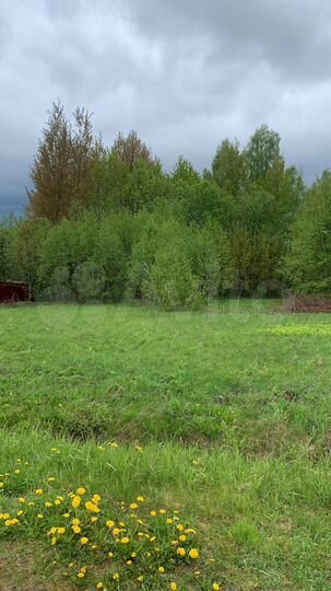 Участок 20 сот. (СНТ, ДНП)