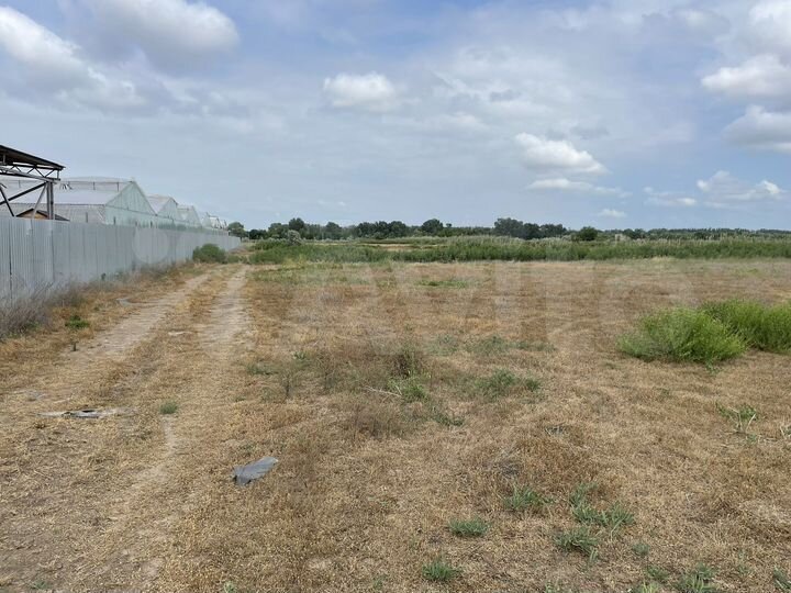 Участок 10 сот. (СНТ, ДНП)