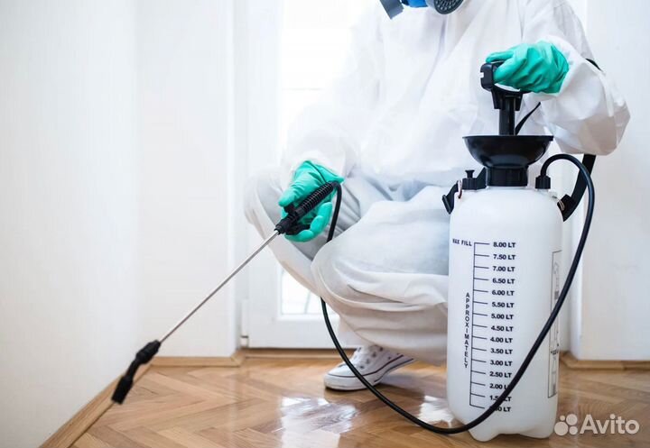 Травля тараканов, клопов, блох, мышей, крыс