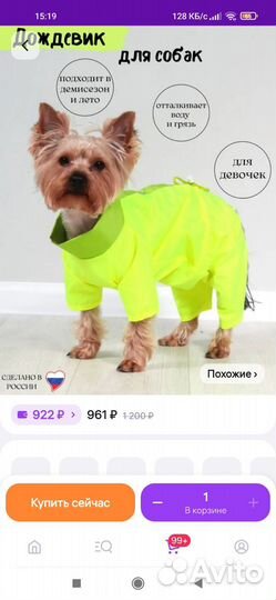 Дождевик для маленьких собак на девочку