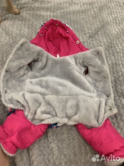 Одежда для собак