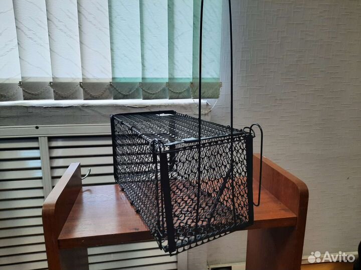 Мышеловка крысоловка