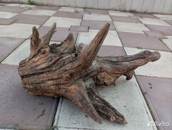 Коряга в аквариум номер 1