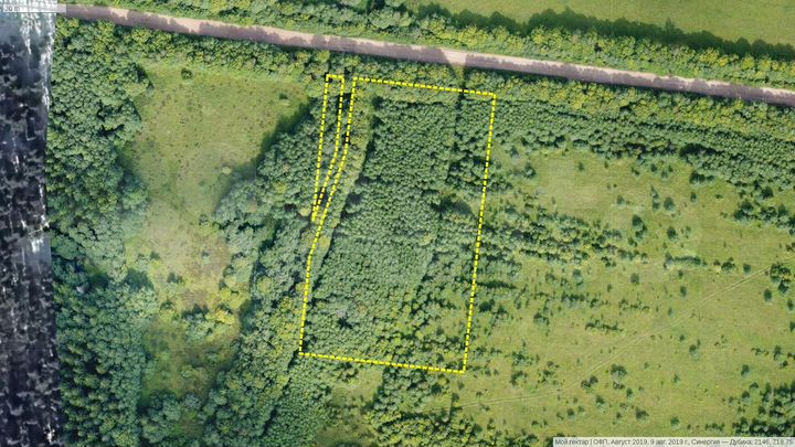 Участок 96,3 сот. (СНТ, ДНП)