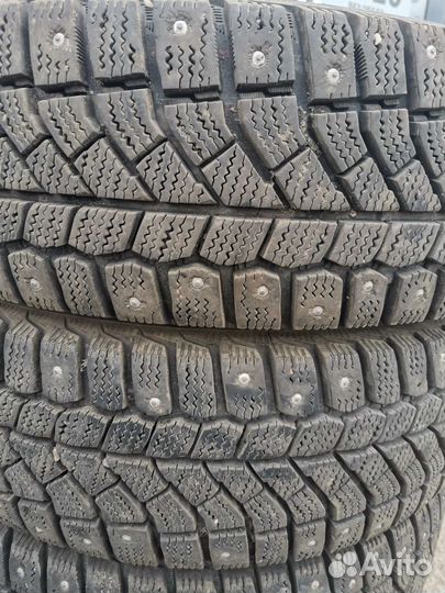 Viatti Bosco Nordico V-523 185/65 R15