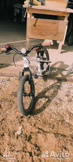 Shulz bubble 16 race