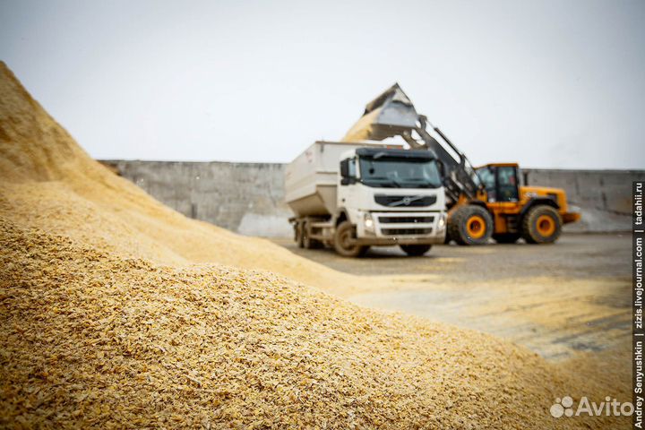 Перевозка зерна фура