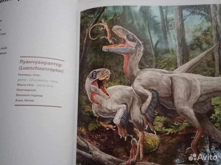 Детские книги, энциклопедия. Динозавры