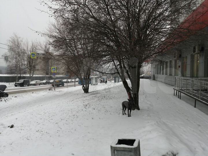 Сдам торговое помещение, 12 м²