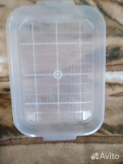 Лоток новый, поводок для кота, собачки мелкой