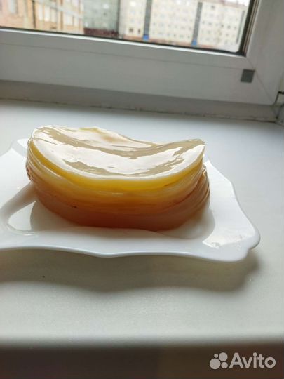 Чайный гриб