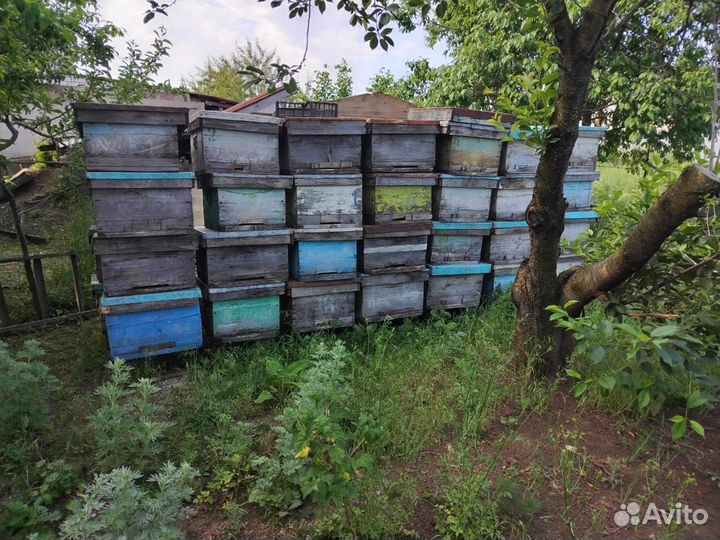 Улей для пчел