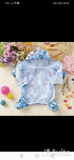 Одежда для собак мелких пород