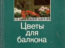 Сколько балконов было в доме где жил николай николаевич бессольцев