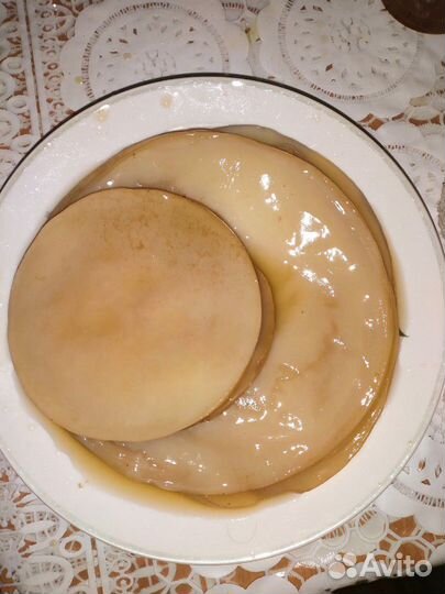 Чайный гриб