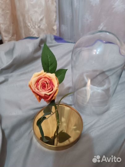Роза в колбе