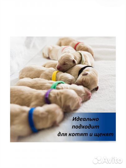 Ошейники идентификационные для щенков и котят