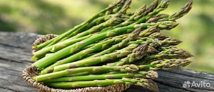 Спаржа