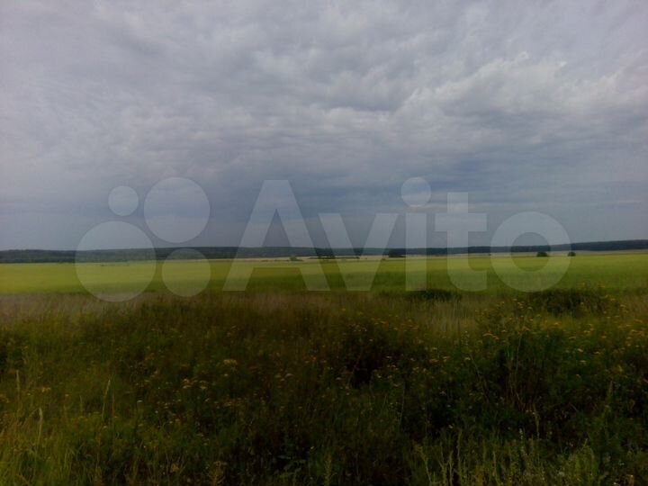 Участок 10 сот. (СНТ, ДНП)