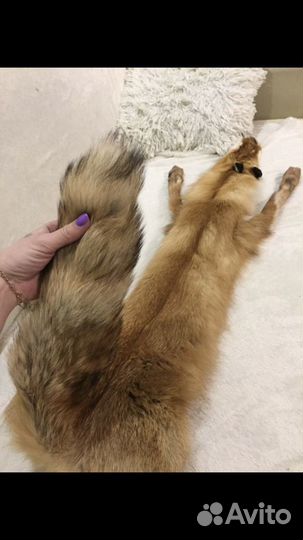 Лисьи шкуры