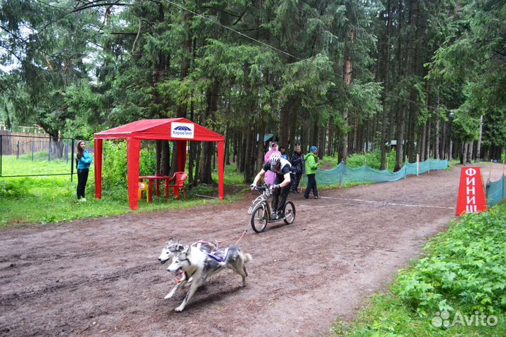 Шатры, палатки, павильоны