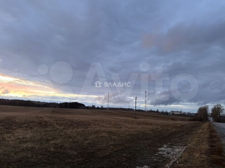 Участок 5,25 га (личное подсобное хозяйство (лпх))