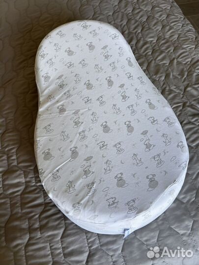 Кокон зевушка в отличном состоянии