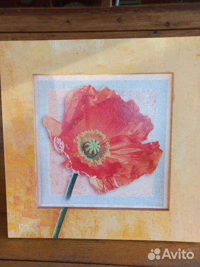 Репродукция