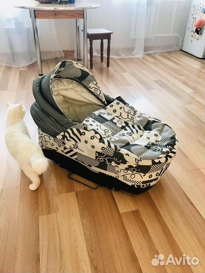 Коляска 2 в 1 verdi