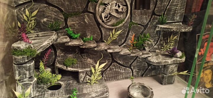 Террариум 60#40#40 с фоном