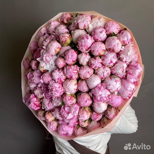 Букет из 101 пионы / Букет Пионов С доставкой