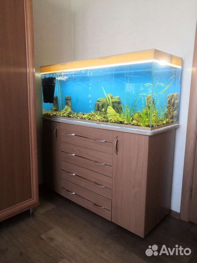 Аквариум