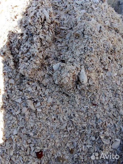 Продаю речную ракушку