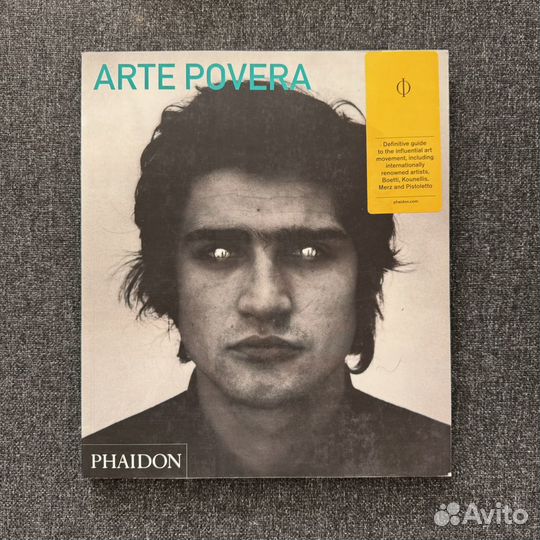 Книги по искусству Phaidon Dadaism Arte Povera