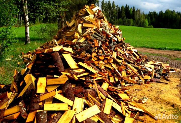 Дрова осина
