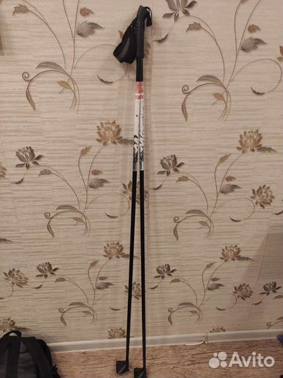 Лыжные палки