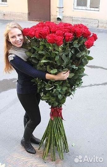 Высокие розы Гигантские Розы 150 160 170 180 190см