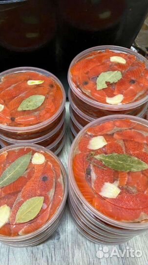 Охотская рыба кета, кижуч